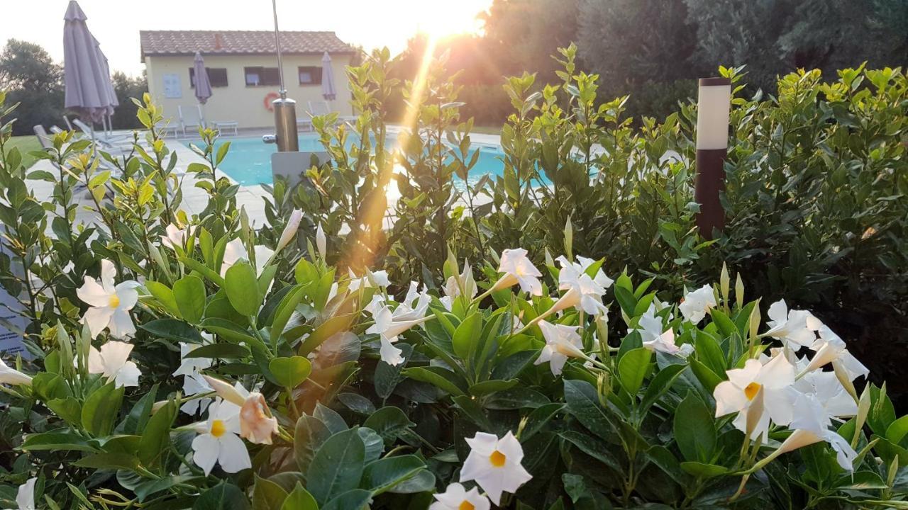 Punta Dei Lecci Villa Riparbella Exterior photo