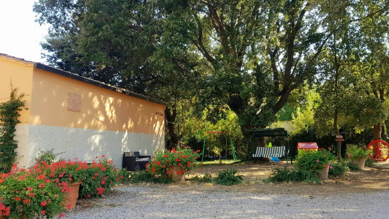 Punta Dei Lecci Villa Riparbella Exterior photo